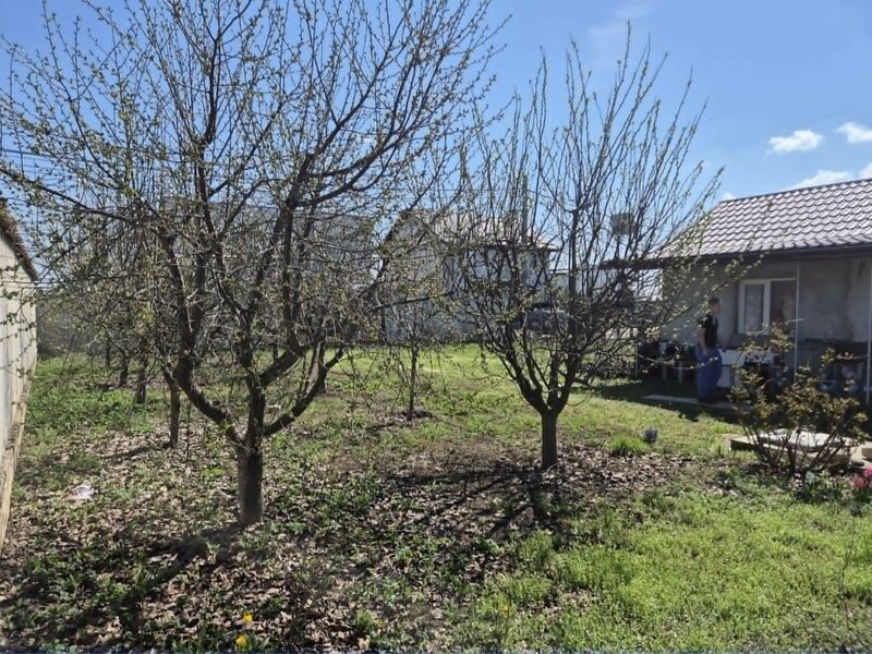 Berceni - Str.Primaverii